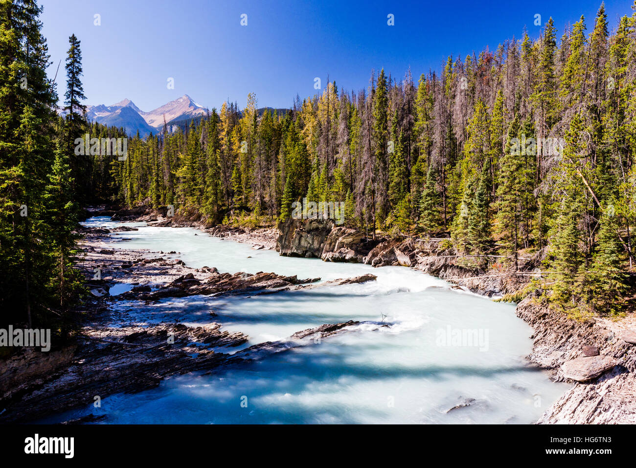 The Kicking Horse River is a river located in the Canadian Rockies of southeastern British Columbia, Canada. The river was named in 1858, when James H Stock Photo