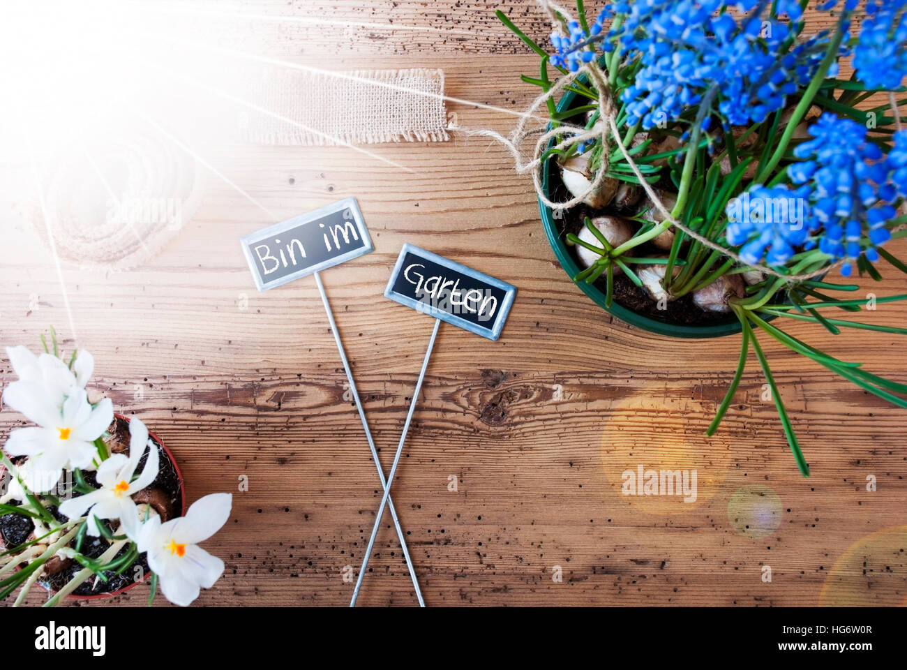 Sunny Flowers, Signs, Bin Im Garten Means In The Garden Stock Photo Alamy