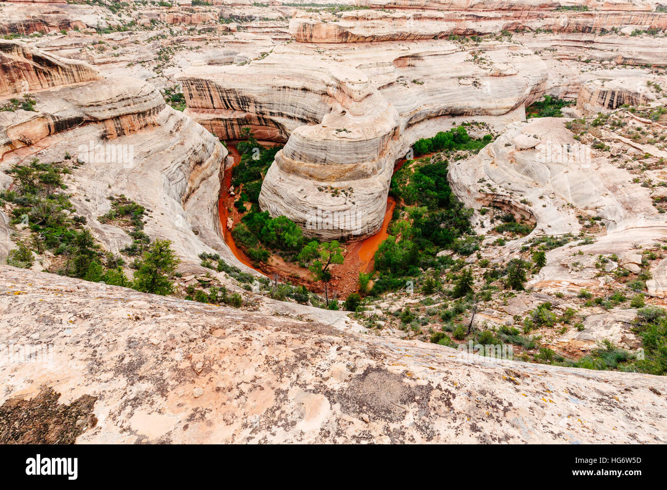 Natural Bridges National Monument is a U.S. National Monument located