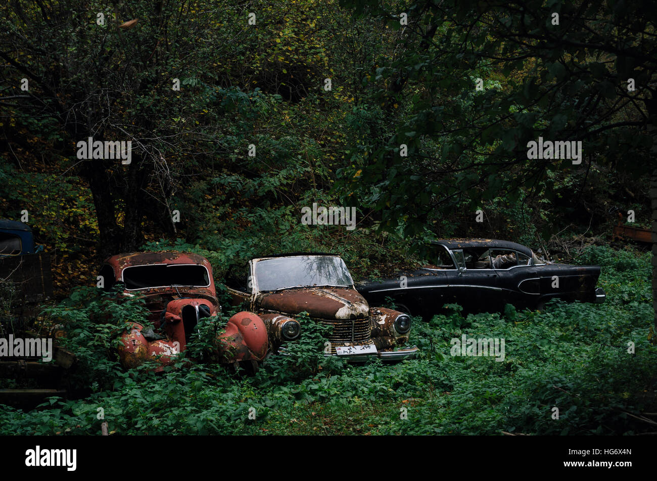 Abandoned Classic Cars High Resolution Stock Photography and Images - Alamy