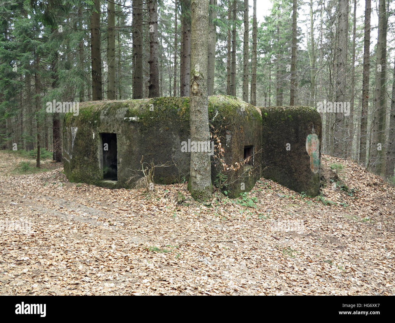 Reinforced concrete blockhouse - light fortification in the forest Stock Photo
