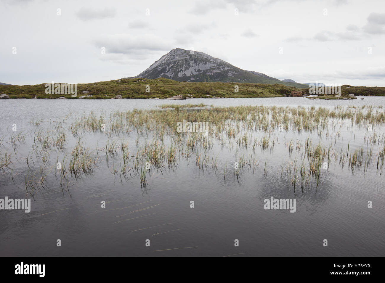 View of Mount Errigal from sleeve snaght loch. Glenveagh national park, County Donegal, Ireland. Stock Photo