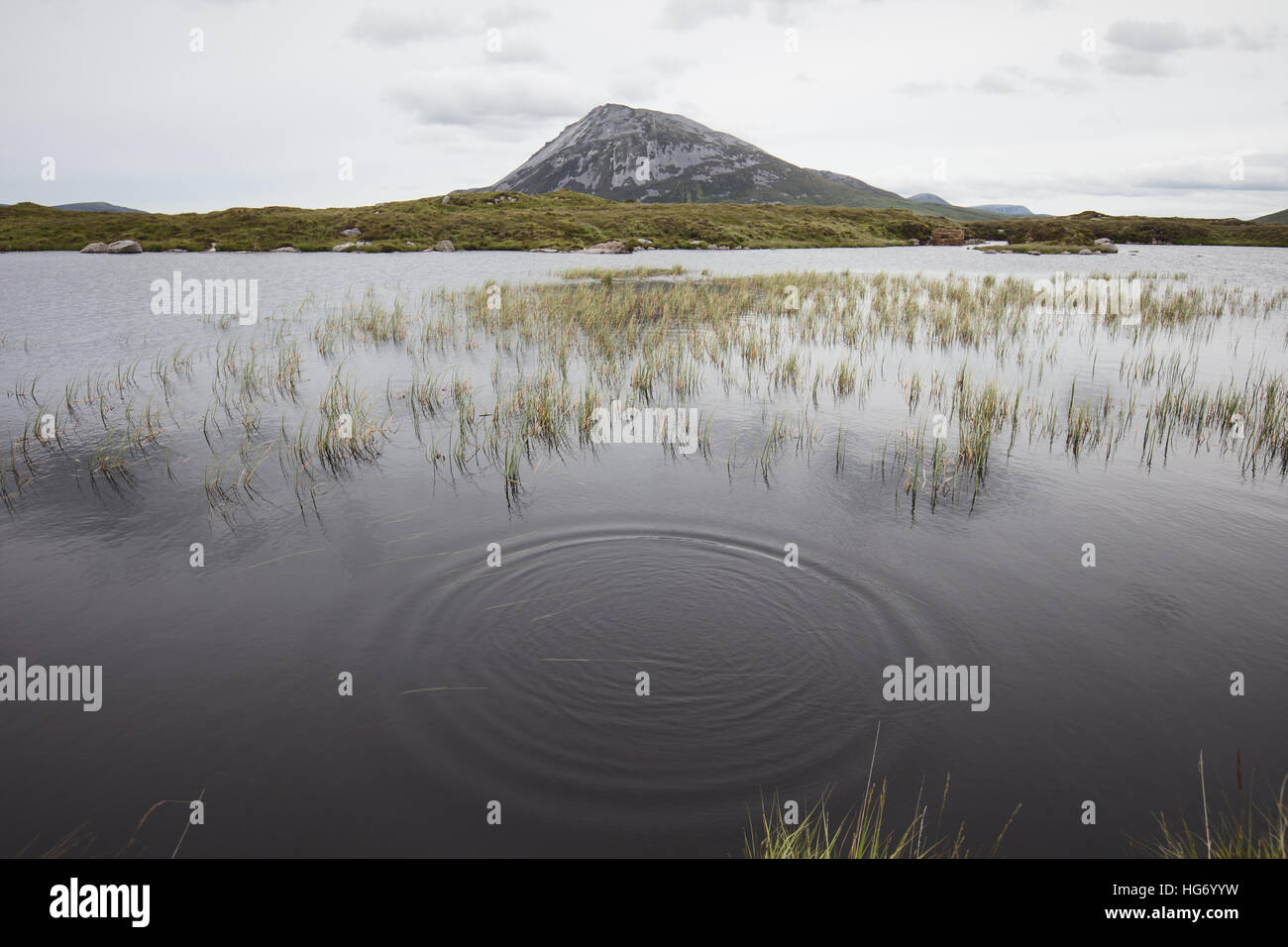 View of Mount Errigal from sleeve snaght loch. Glenveagh national park, County Donegal, Ireland. Stock Photo