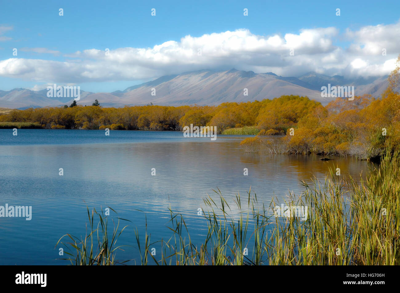Long  grass in front of lake surrounded by autumn trees with softened blue cloudy sky. Stock Photo