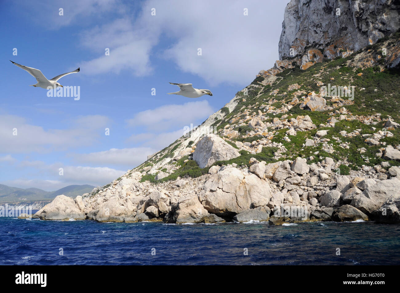 View of rocks and seagulls flying Stock Photo