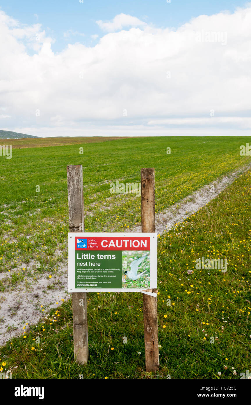 RSPB sign warns against disturbing the nests of little terns on Berneray in the Outer Hebrides. Stock Photo