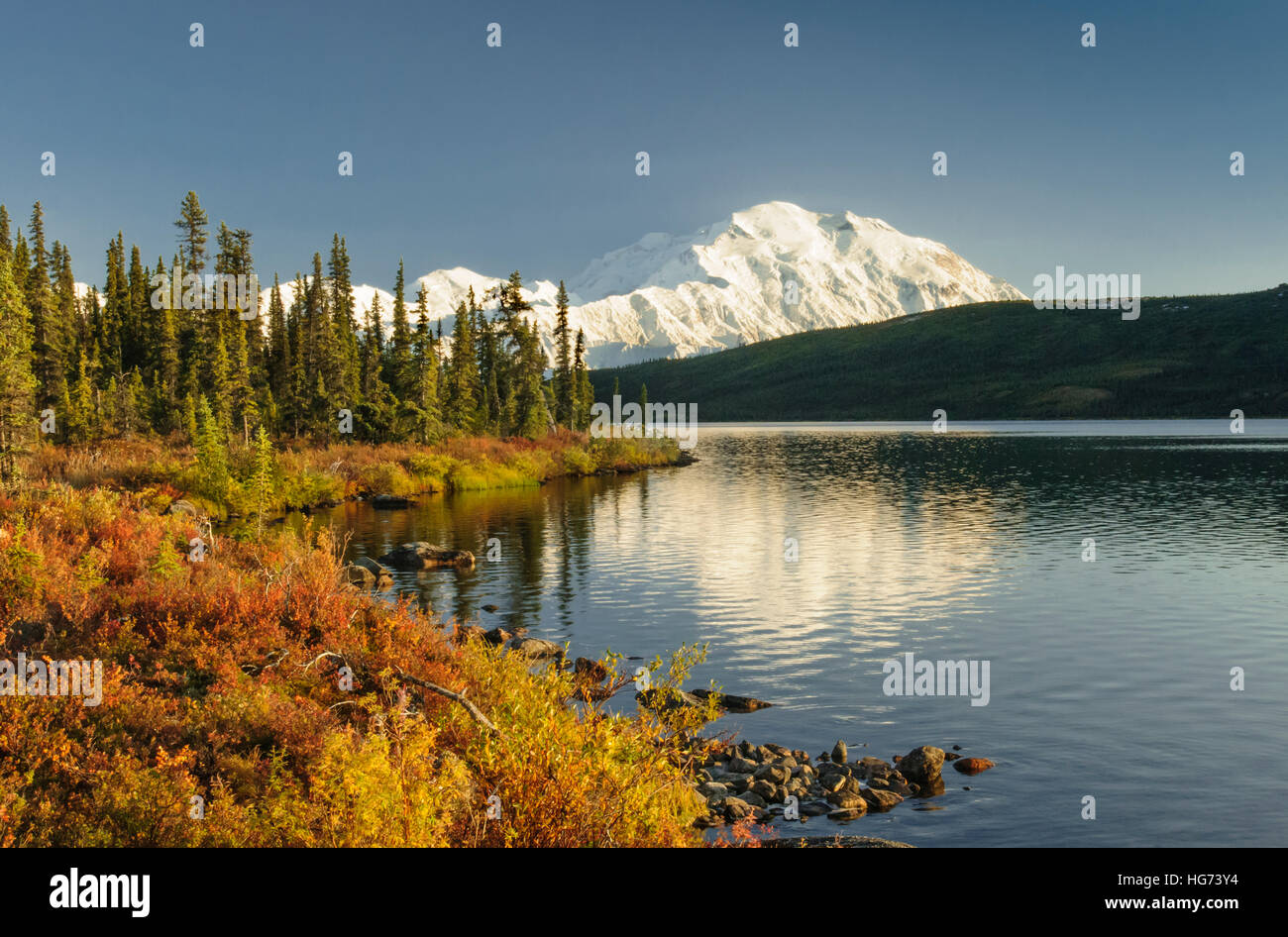 Mount Denali from Wonder Lake in Autumn colors, Alaska. Stock Photo