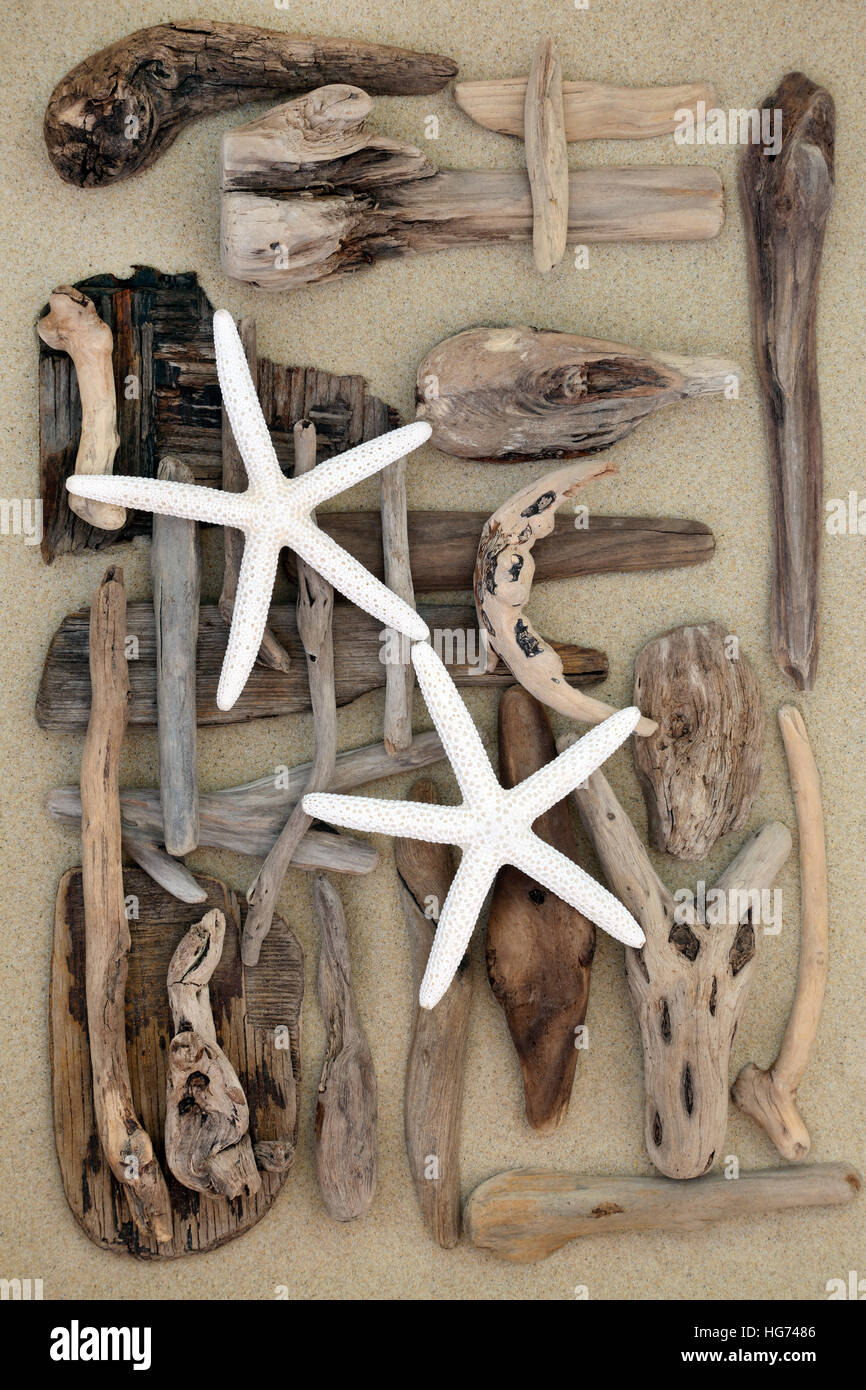 Decoration with starfish and driftwood hi-res stock photography and images  - Alamy, Star Fish Shells Decorations 