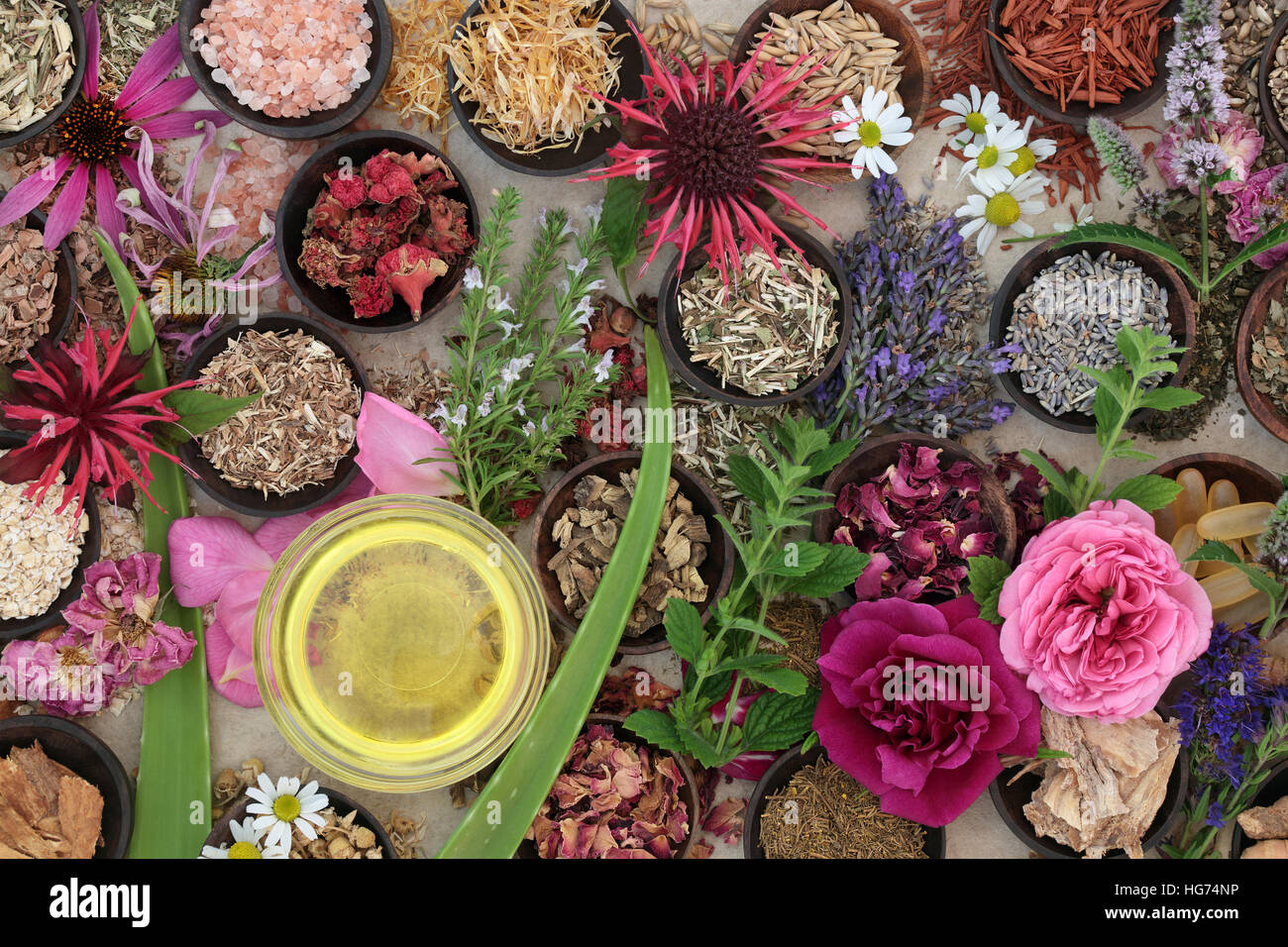 Natural herbal alternative medicine for skincare with fresh and dried