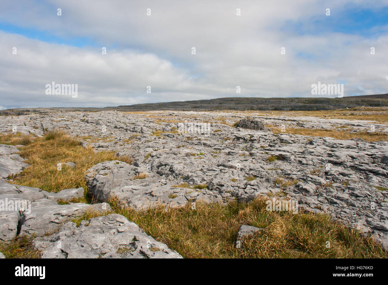 The unique rock formation called the Burren in County Clare in the West of Ireland consisting mainly of Limestone rock Stock Photo