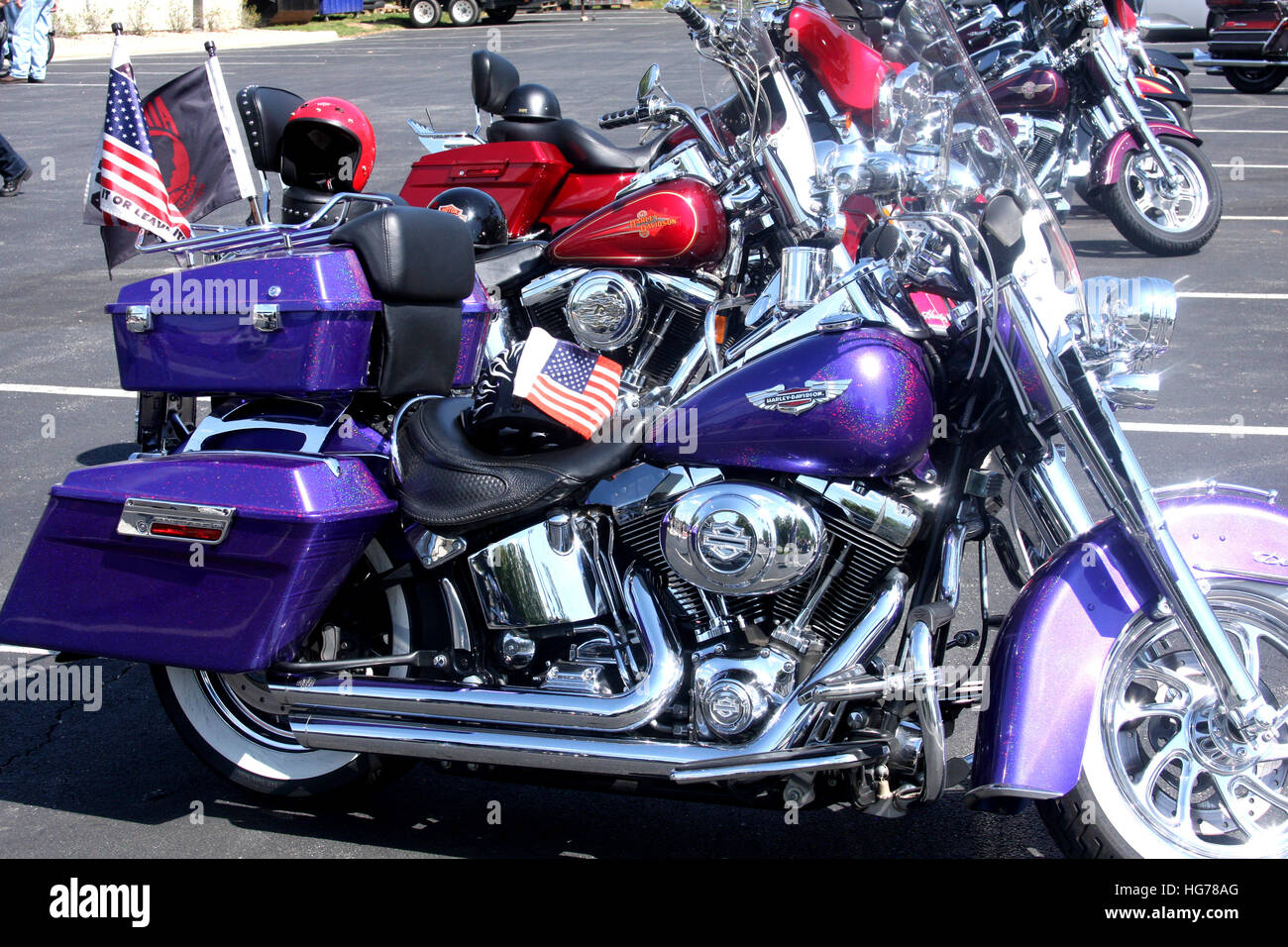 Harley-Davidson Women's Angelic Winged Cross Speed Sock Purple SP27569 