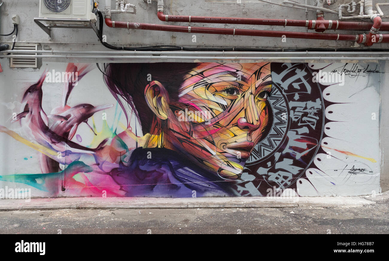 Wall painting by Parisian street artist Alexandre Monteiro aka Hopare of Hong Kong actress and canto pop star Niki Chow  'Walls of Change' street art  Stock Photo