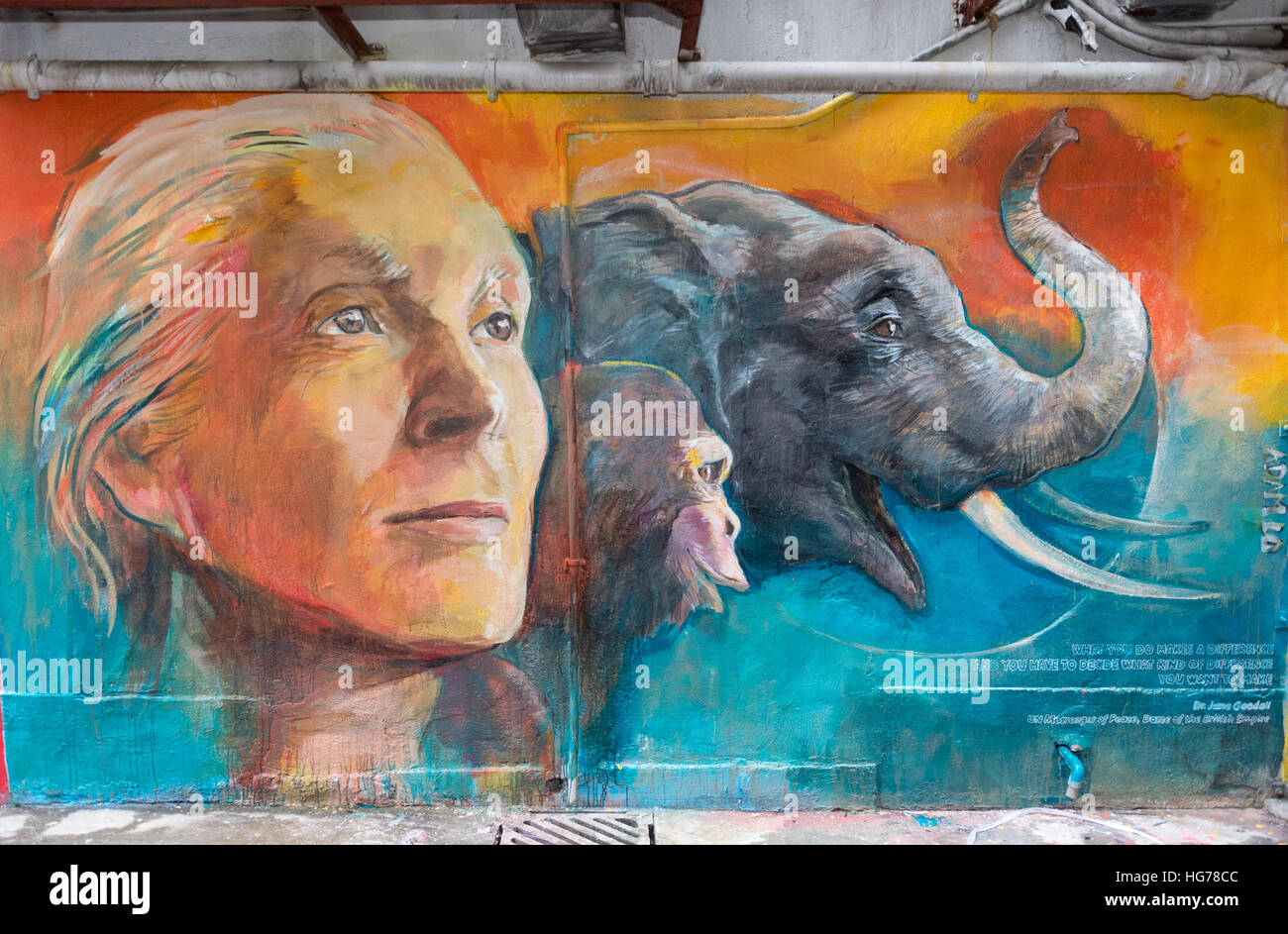 Wall painting by local Hong Kong artist Adam Lo of Dame Dr Jane Goodall. 'Walls of Change' street art in Hong Kong painted ahead of the The ÒHope for  Stock Photo