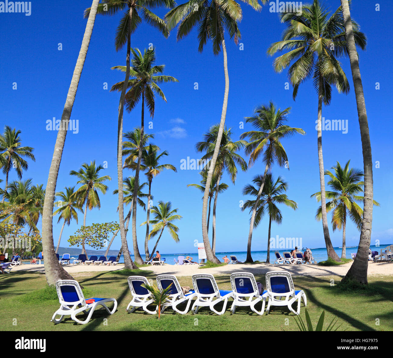 Tropical beach with blue long chairs and grass on the foreground Stock Photo
