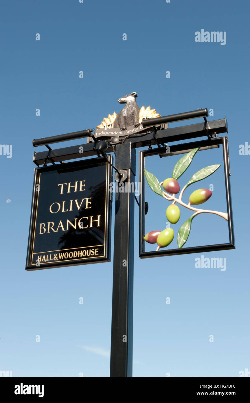 The Olive Branch Pub sign in Wimborne Stock Photo