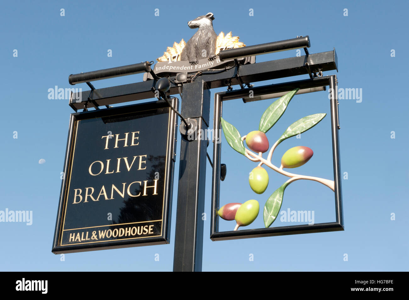 The Olive Branch Pub sign in Wimborne Stock Photo