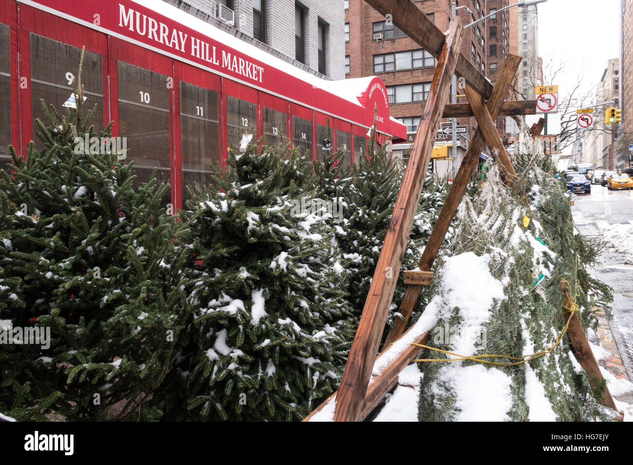 Sidewalk Christmas Tree Vendor, New York City, USA Stock Photo Alamy