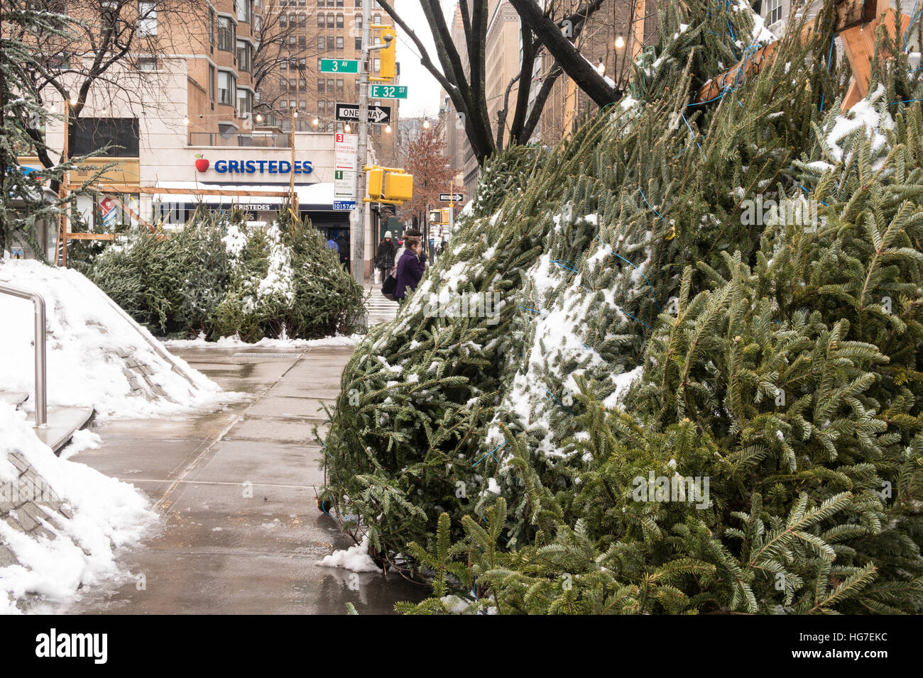 Sidewalk Christmas Tree Vendor, New York City, USA Stock Photo Alamy