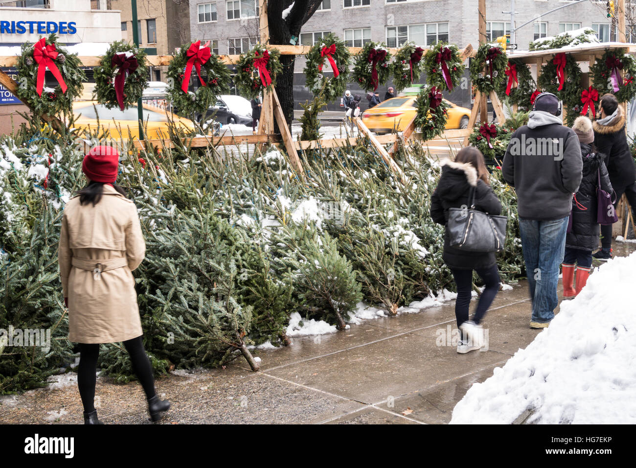 Sidewalk Christmas Tree Vendor, New York City, USA Stock Photo Alamy