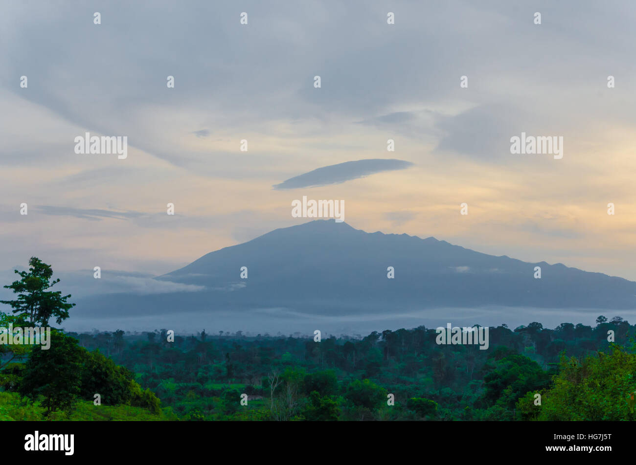 Mount Cameroon in the distance during evening light with cloudy sky and rain forest, Africa Stock Photo
