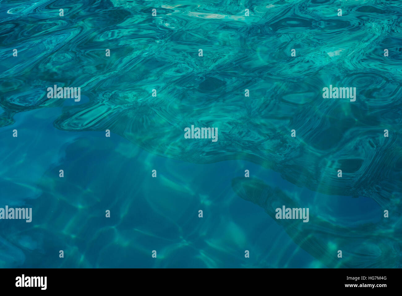 underwater photographs in crystal clear water of the mediterranean sea for  background Stock Photo - Alamy