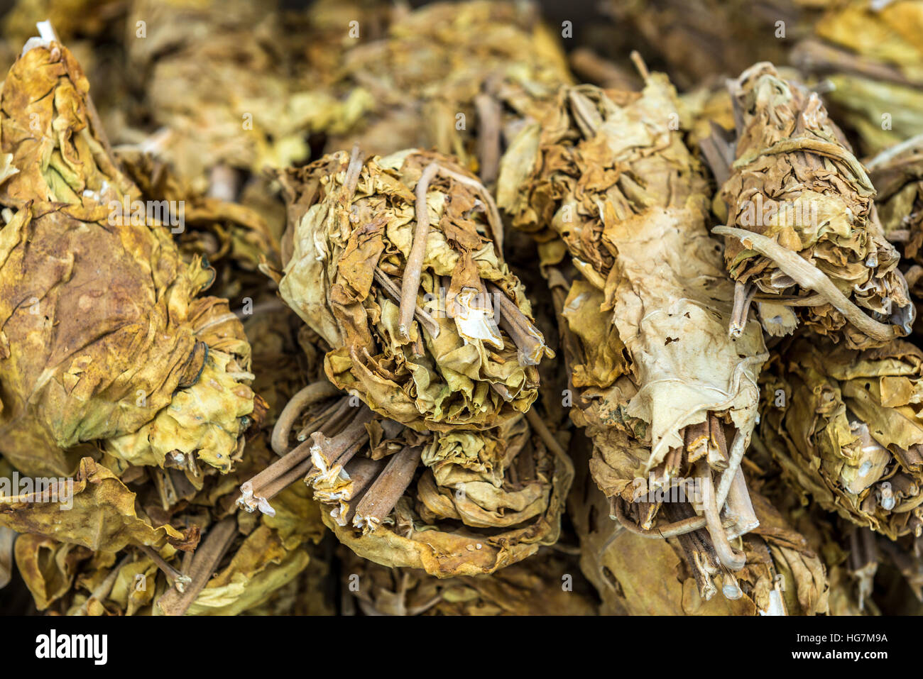 tobacco in iran Tobacco leaves for sale in Shiraz city in Iran Stock Photo