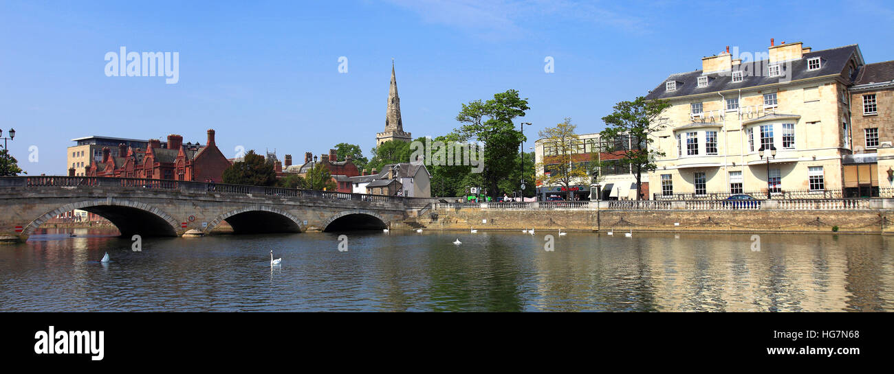 Summer view of swans on the river Great Ouse, Bedford town, Bedfordshire, England, UK Stock Photo