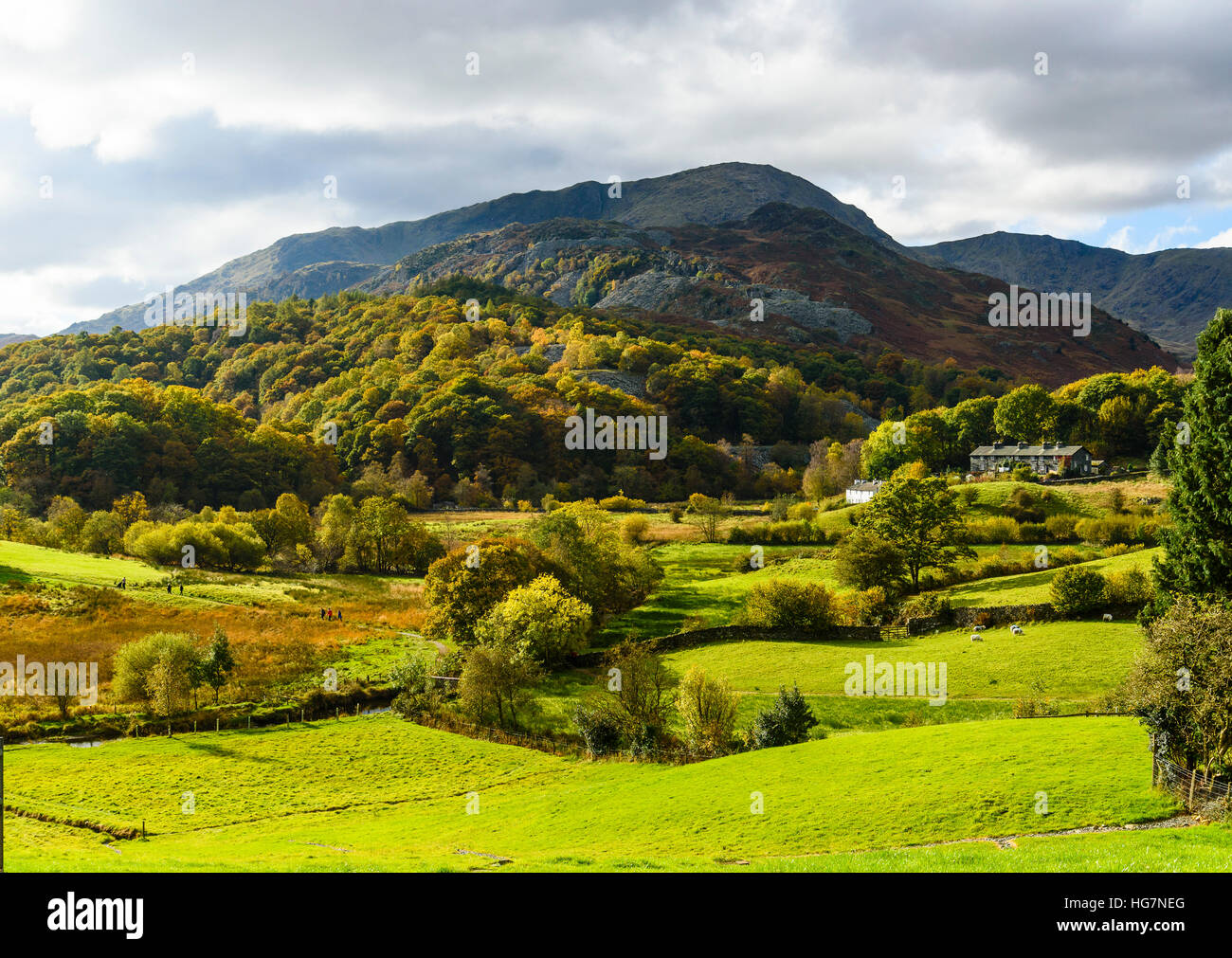 Wetherlam from Little Langdale in the Lake District with Great Carrs on the right Stock Photo