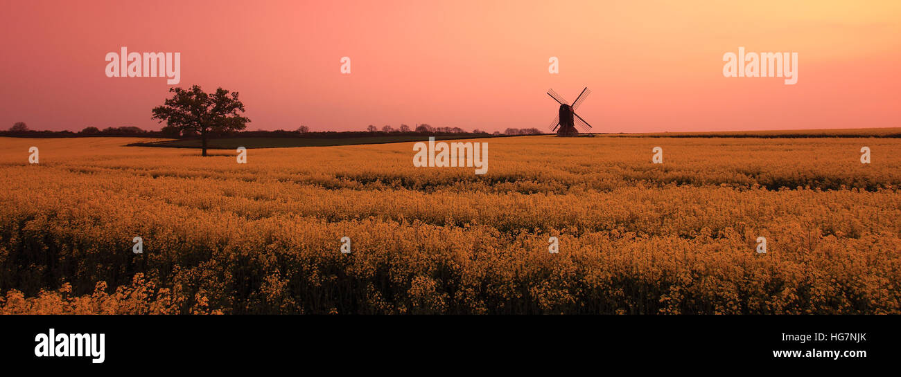 Sunset view of Stevington Windmill; Stevington village; Bedfordshire; England; UK Stock Photo