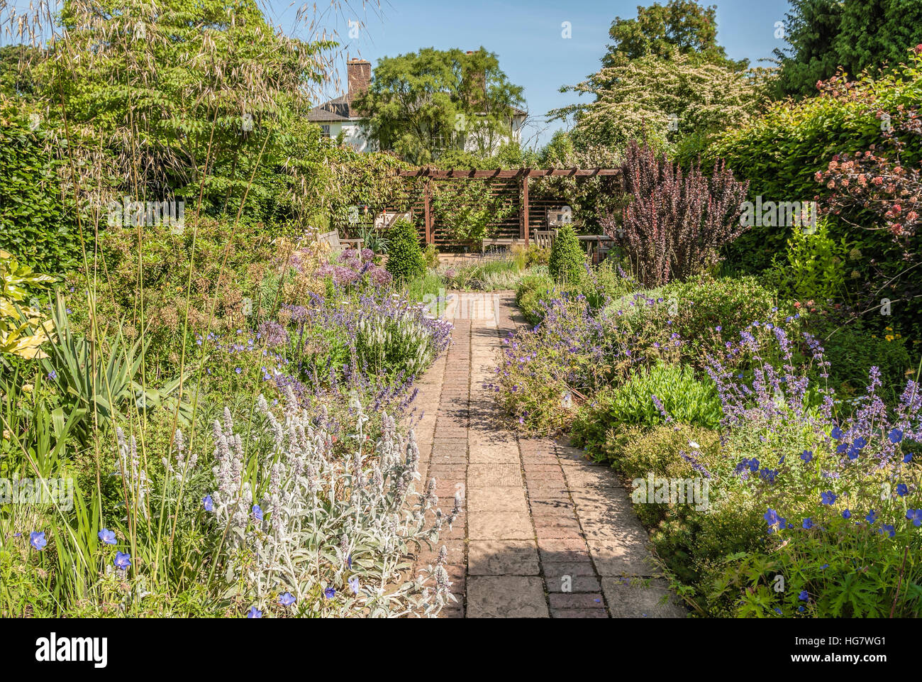 Scented garden at the Cambridge University Botanic Garden, England, UK Stock Photo