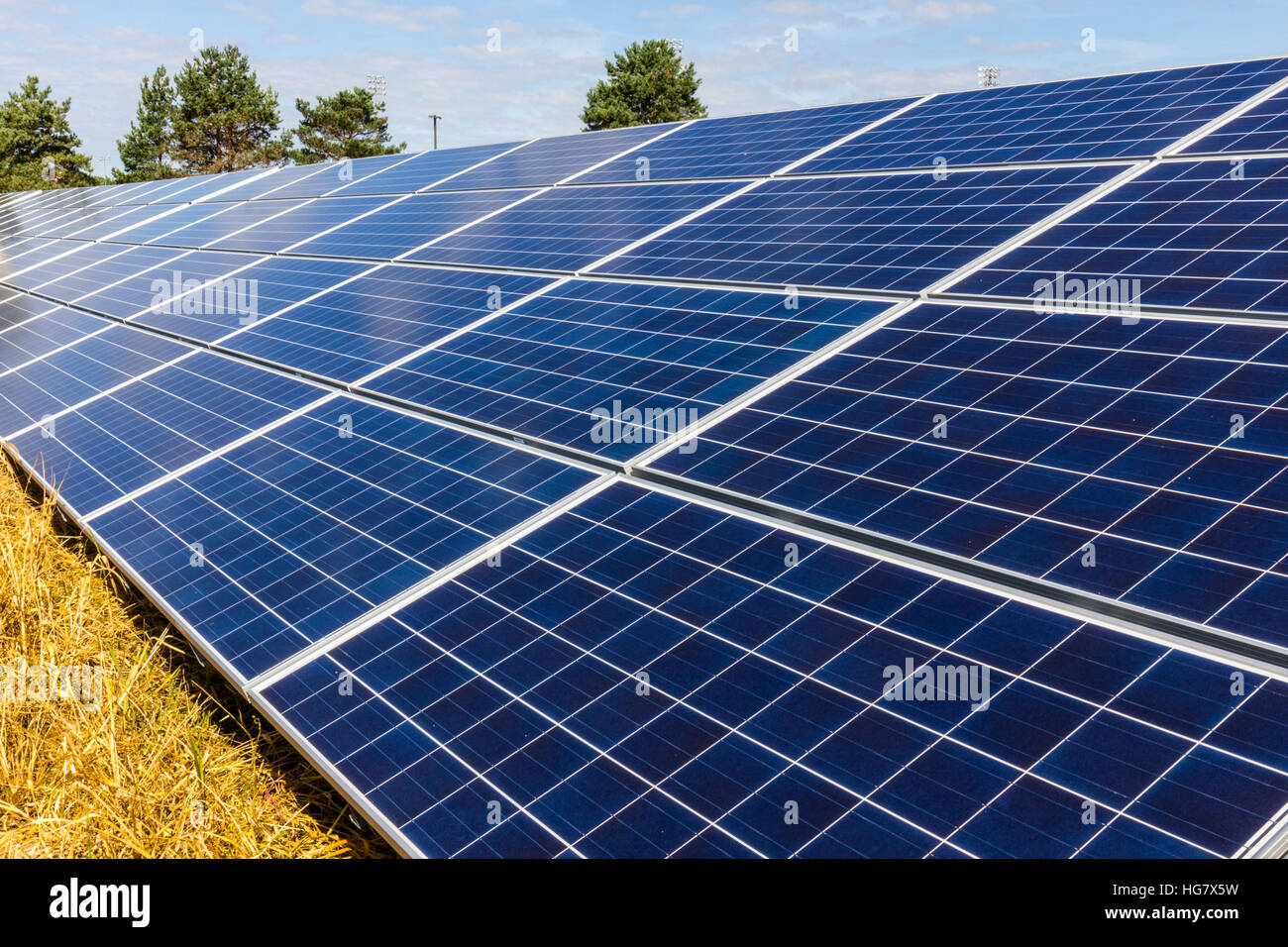 Solar Panel Farm. Corn Fields are Being Converted into Green Energy