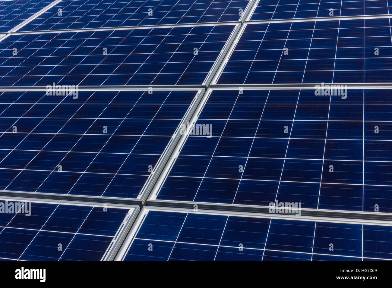 Solar Panel Farm. Corn Fields are Being Converted into Green Energy