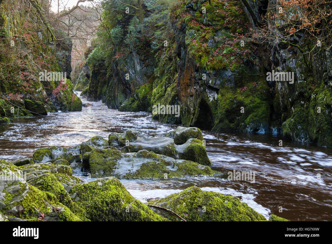 Looking upstream along Afon Conwy River flowing through the narrow Fairy Glen gorge in Snowdonia National Park Betys-y-Coed Wales UK Stock Photo