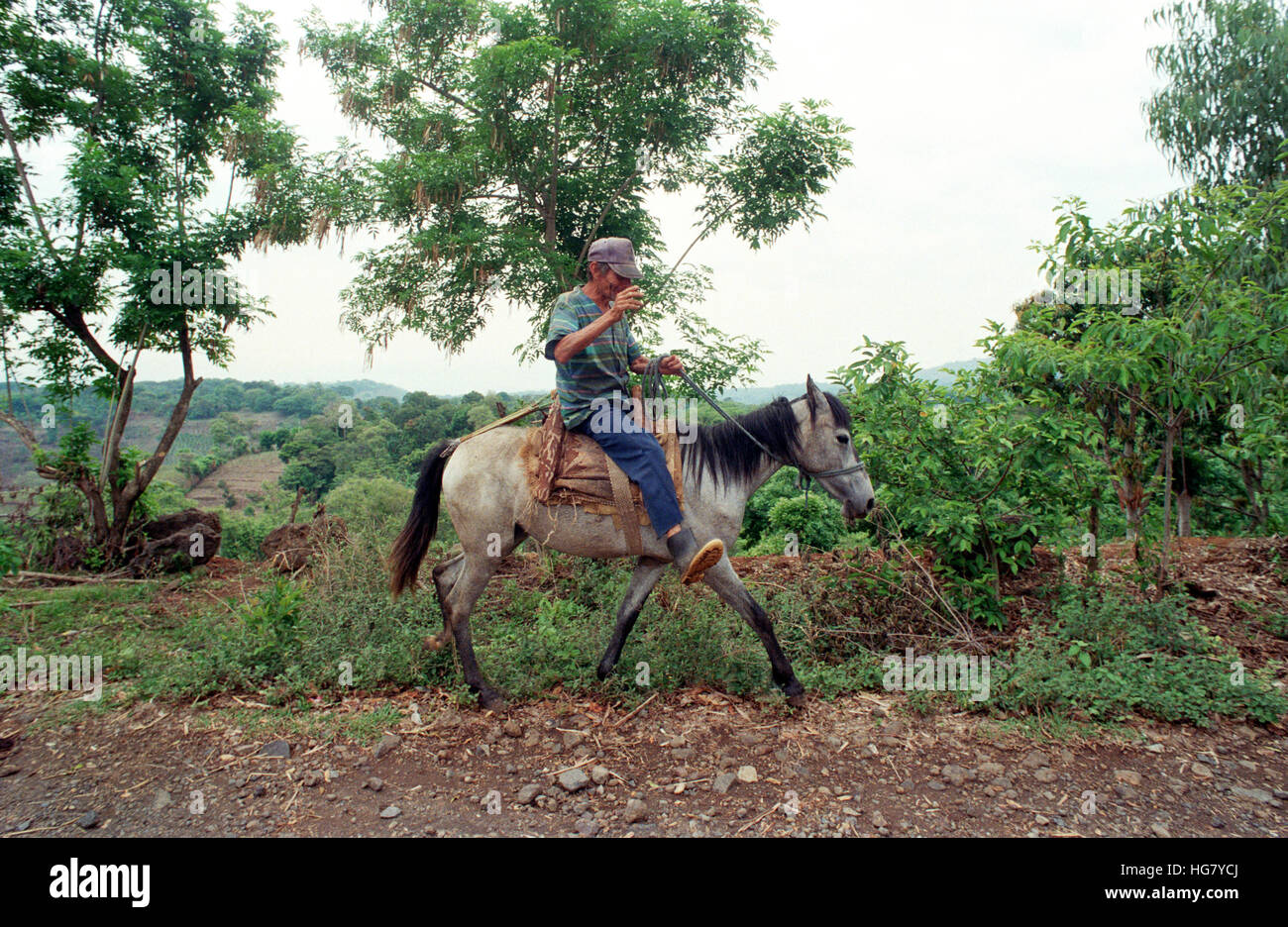 Farmer rides a horse in the countryside Stock Photo Alamy