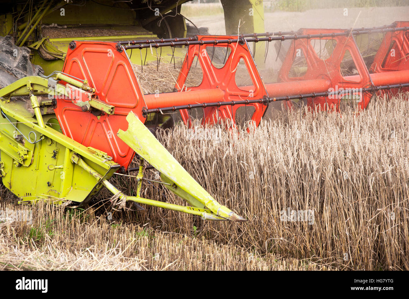 Combine harvesting crops Stock Photo