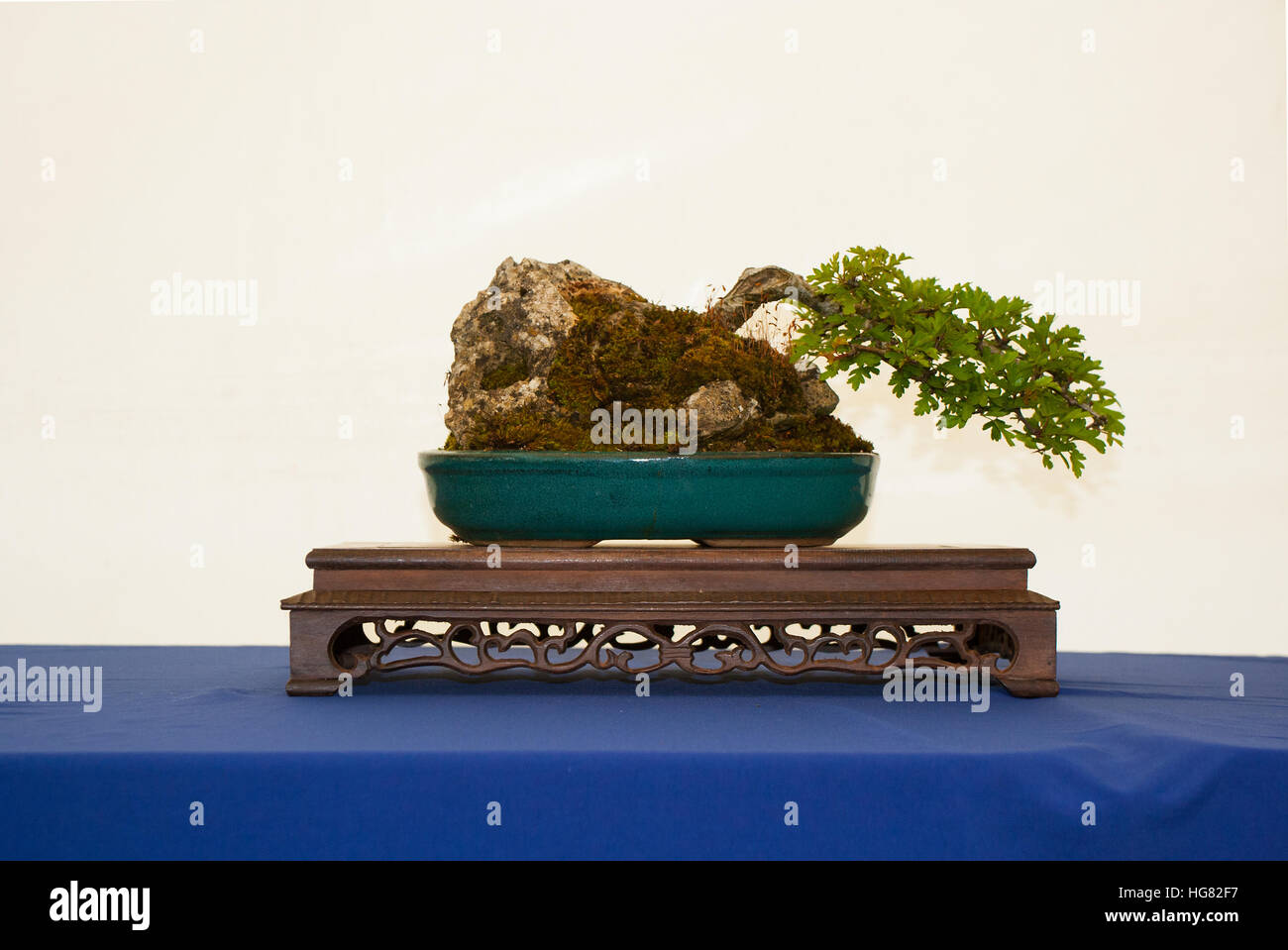 Outdoor Bonsai Stock Photos Outdoor Bonsai Stock Images Alamy