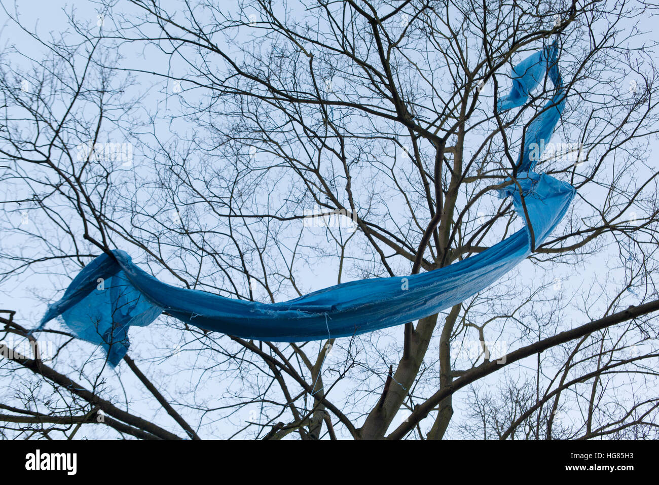 Refuse in Tree, Stock Photo