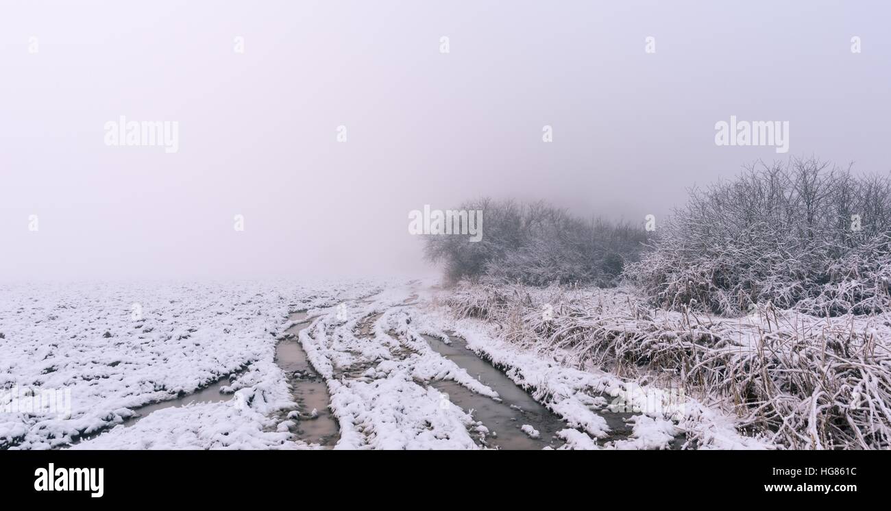 Horizontal photo of winter landscape with heavy morning fog ...