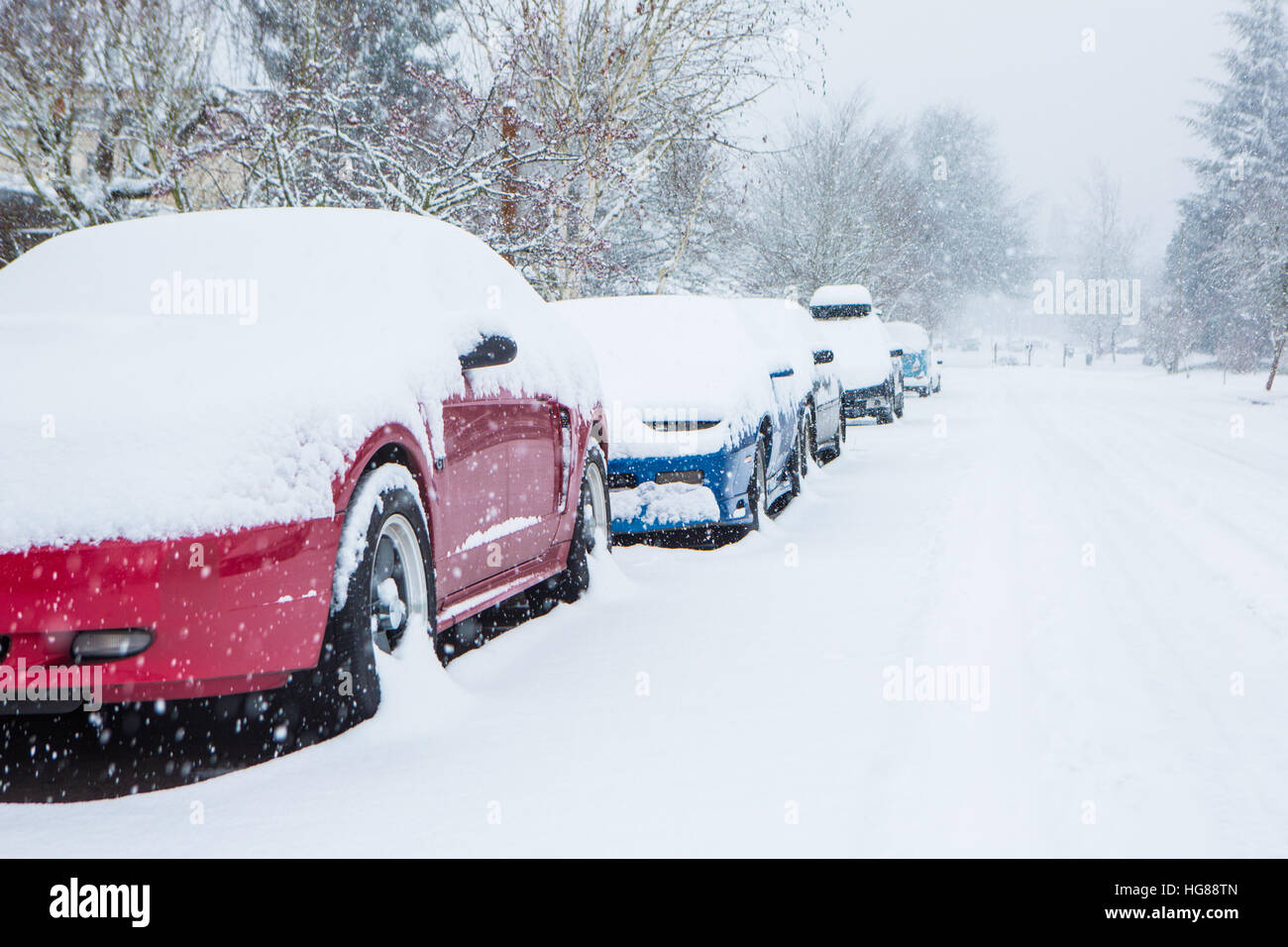 Cars covered in a blanket of fresh snow on an empty street Stock Photo