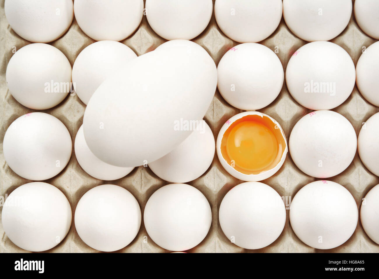 White eggs in a carton with one duck egg Stock Photo