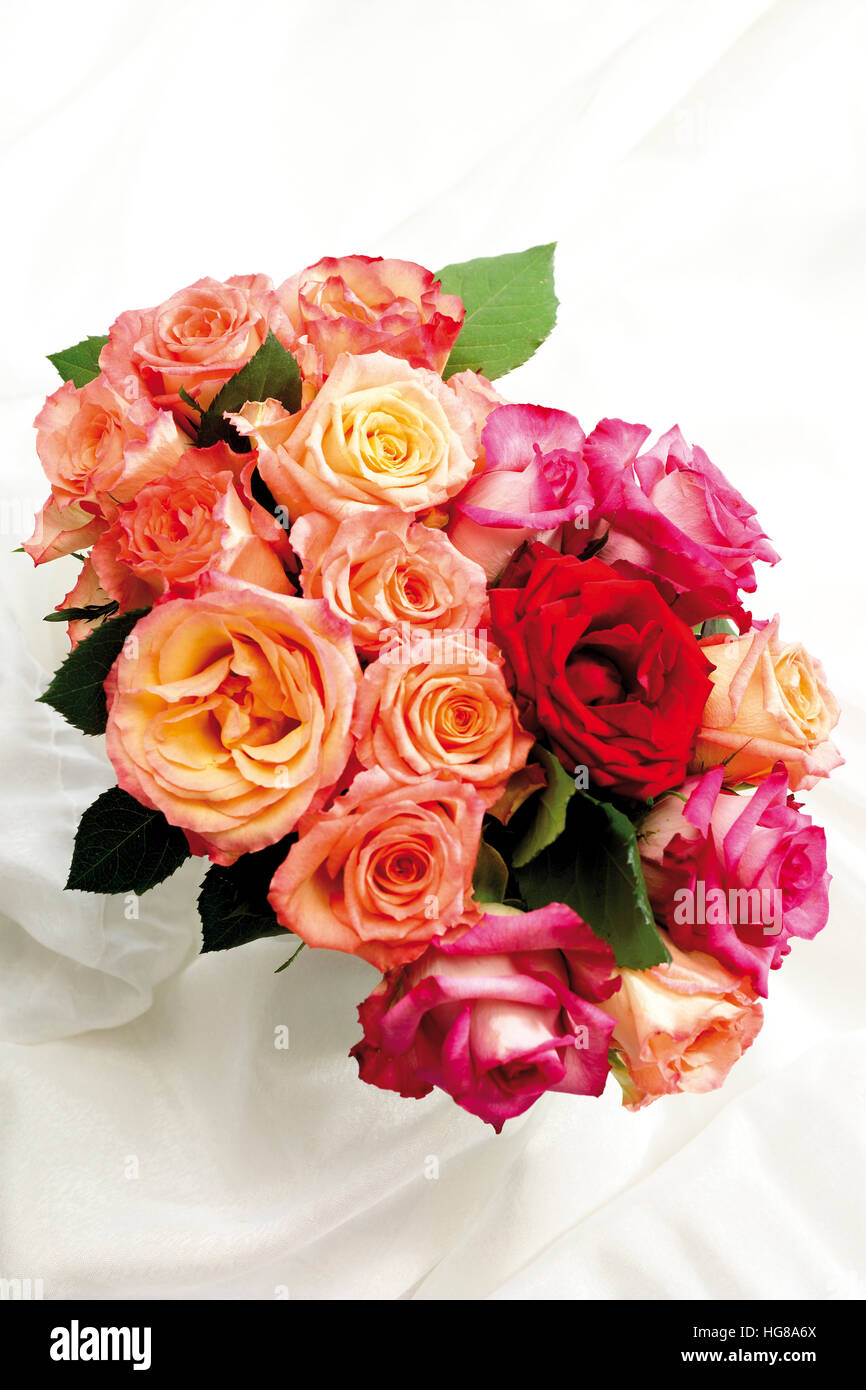 Bouquet of roses Stock Photo