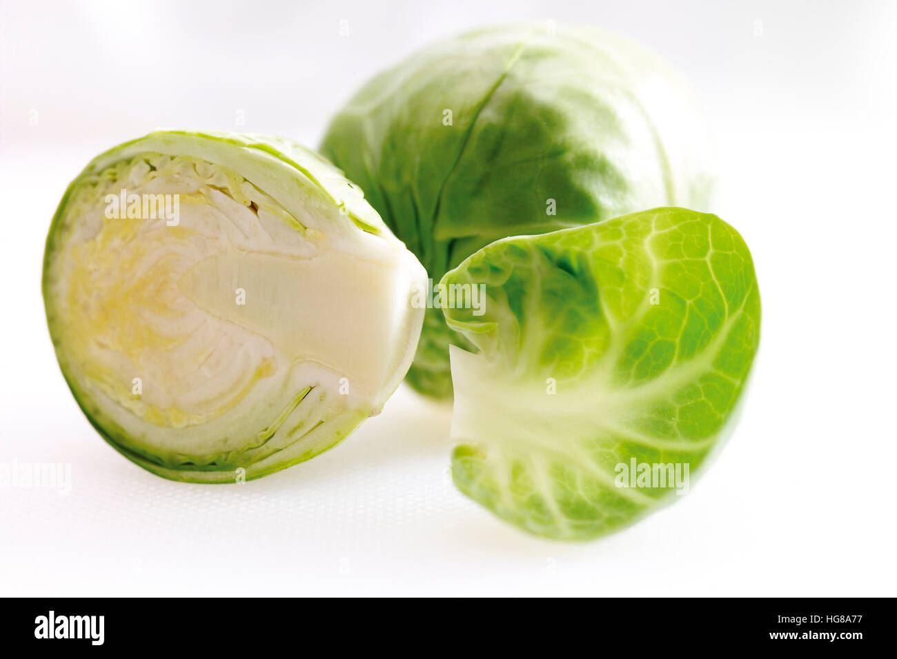Brussel Sprouts (Brassica oleracea gemmifera Stock Photo Alamy