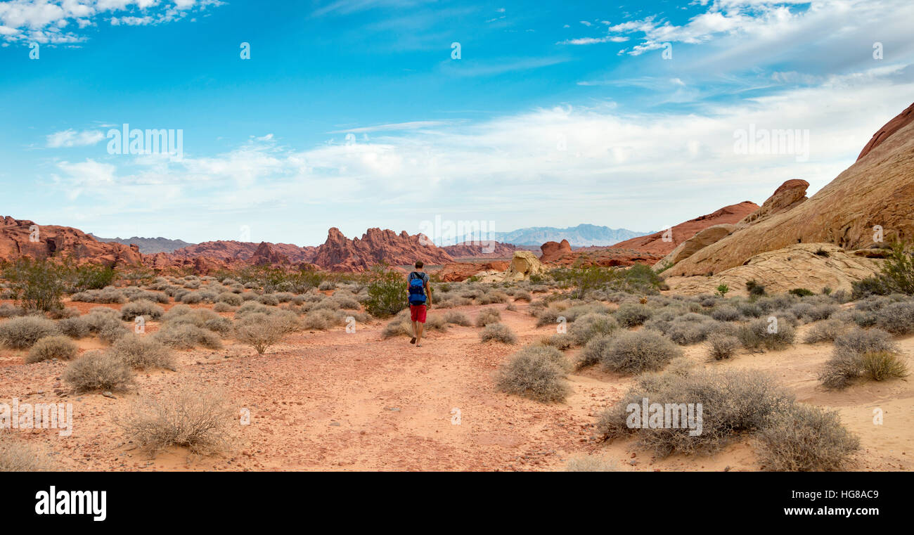 Young male hiker on White Dome Trail, red orange rock formations, Valley of Fire State Park, Mojave Desert, Nevada, USA Stock Photo