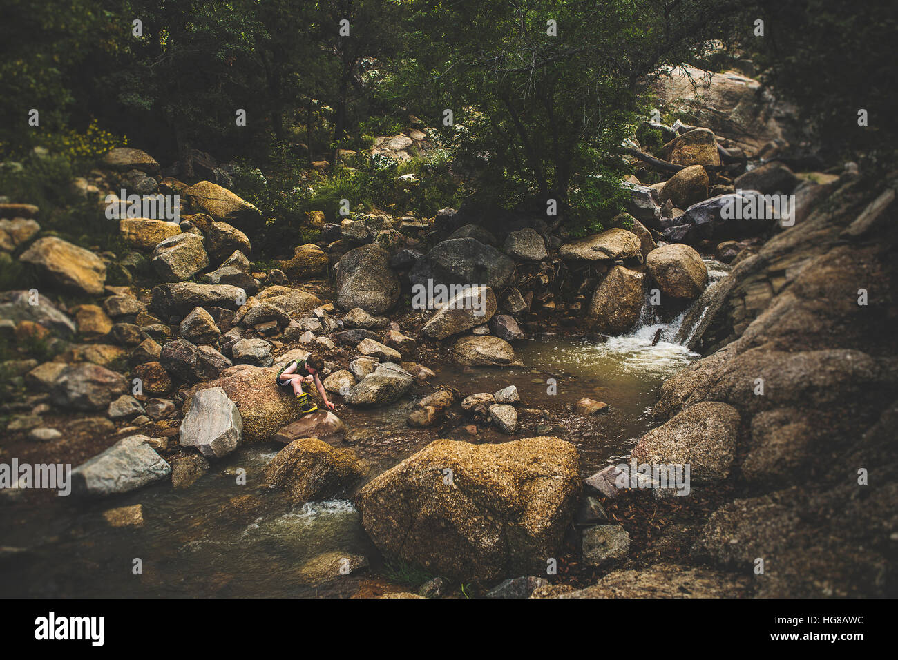 Boy sitting rock forest hi-res stock photography and images - Alamy