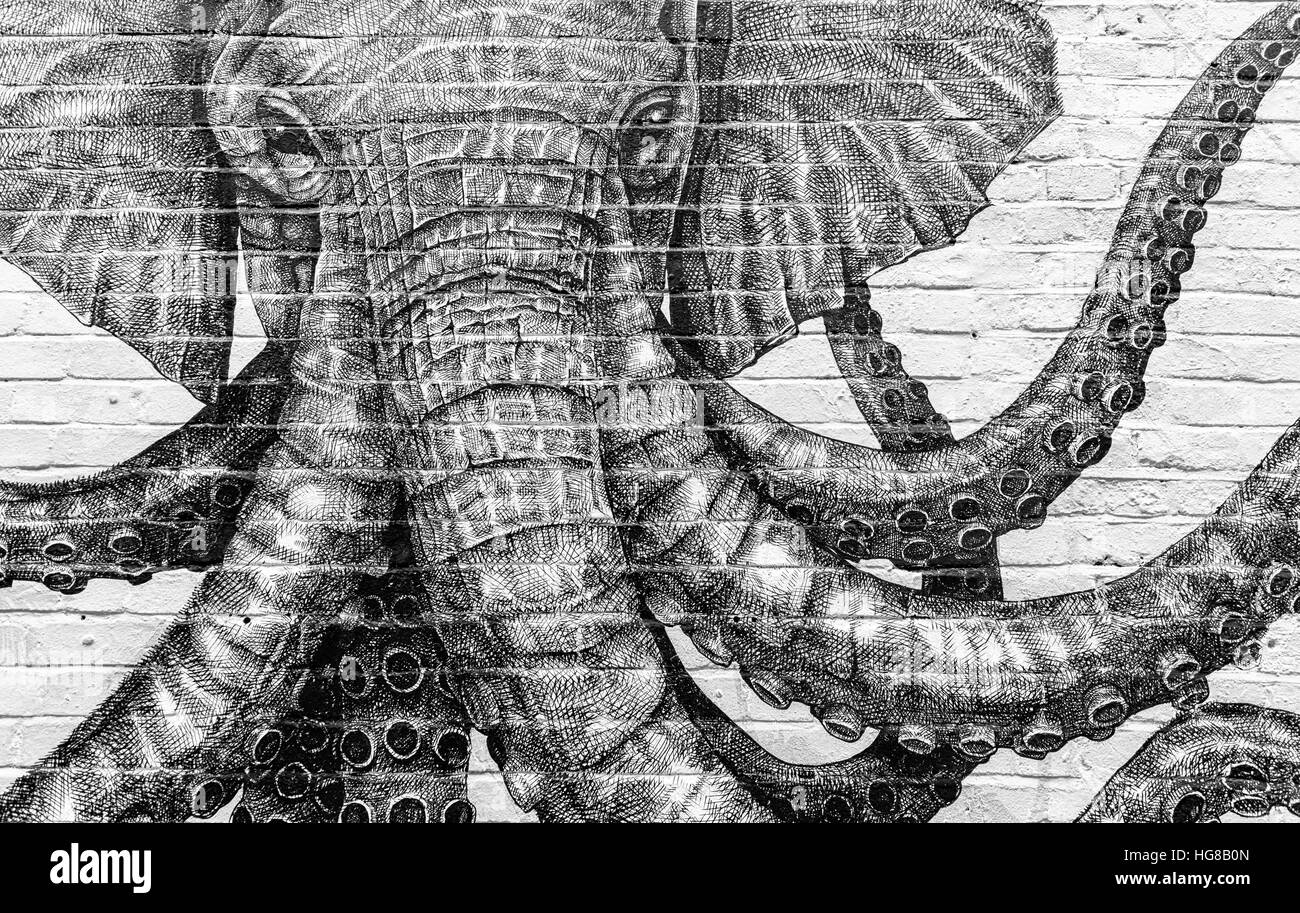 Street-art of hybrid elephant / octopus in monochrome Stock Photo