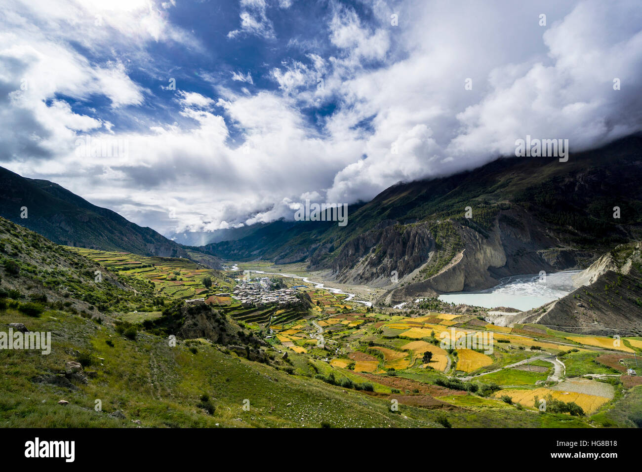 Manang with terrace fields, Upper Marsyangdi valley, Manang District, Nepal Stock Photo