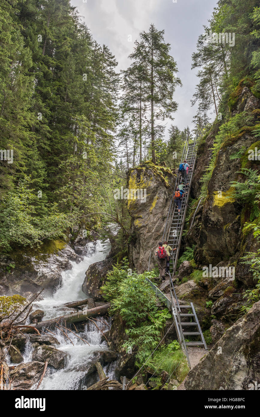 Ravine, Riesachfälle, Wanderweg Wilde Wasser, Wild Waters Trail, Styria, Austria Stock Photo