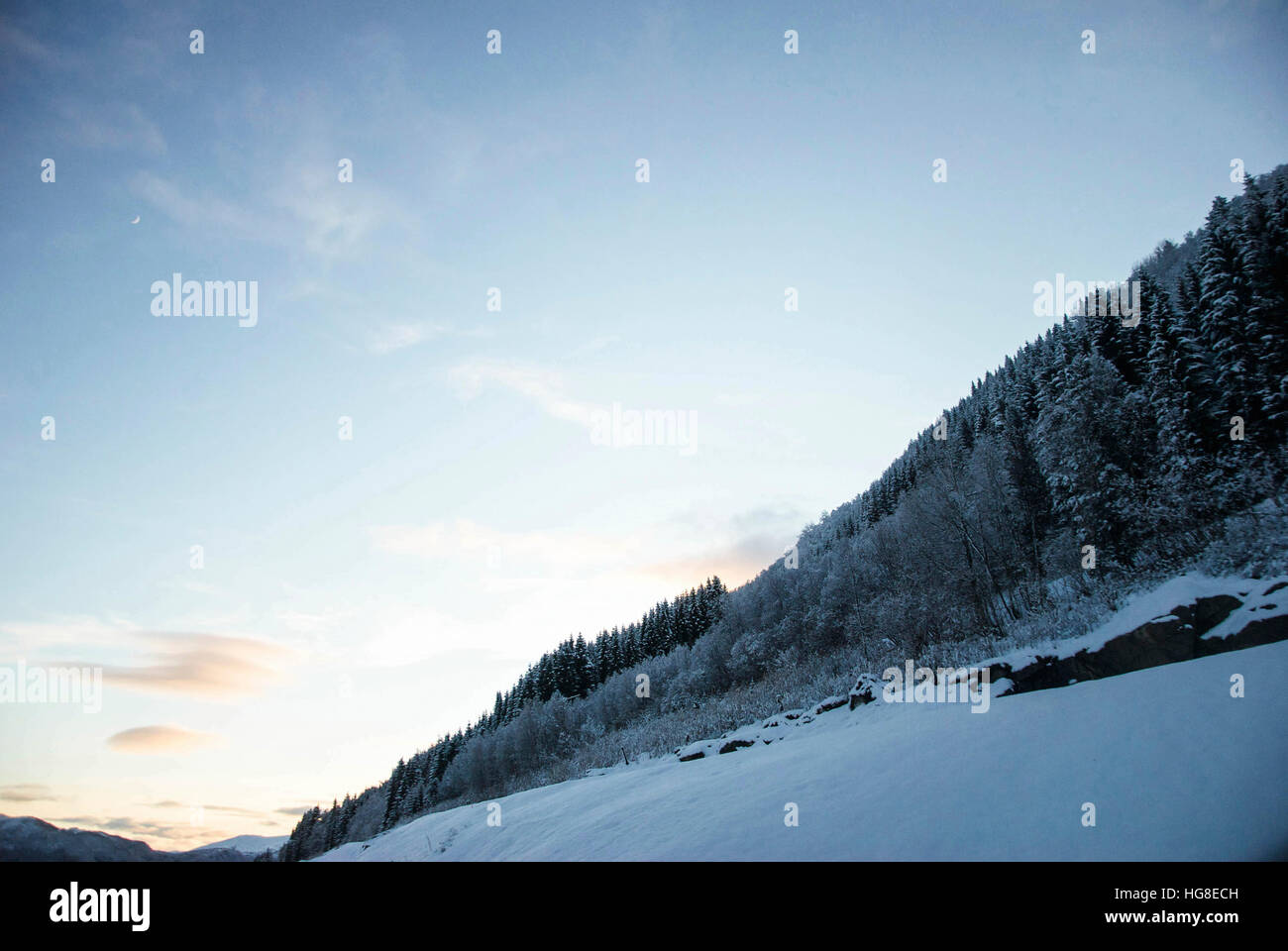 Trees and snow covered field hi-res stock photography and images - Alamy