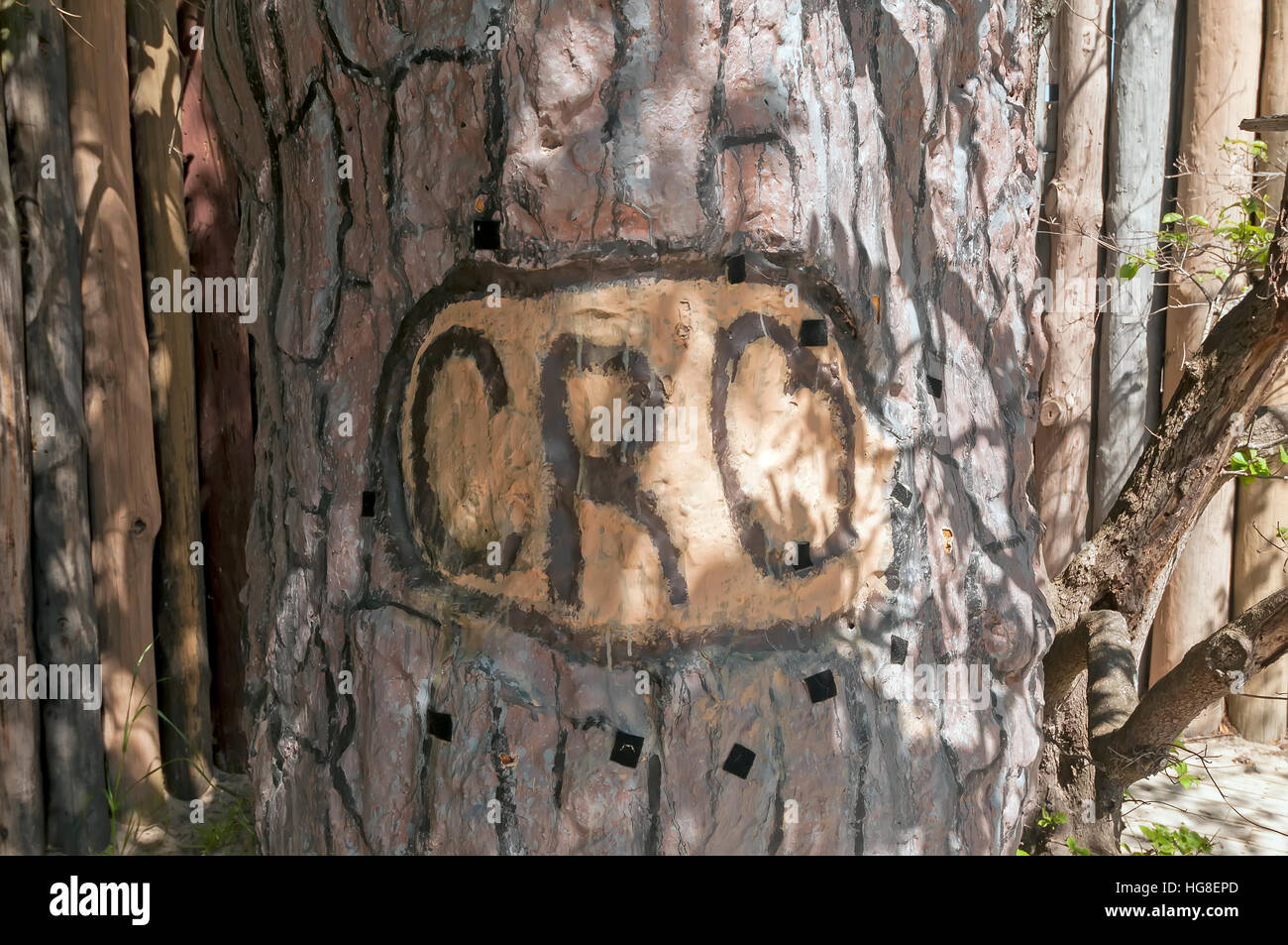 'Cro' Symbol cut into tree by Lost Colony at  Roanoke Island North Carolina Stock Photo