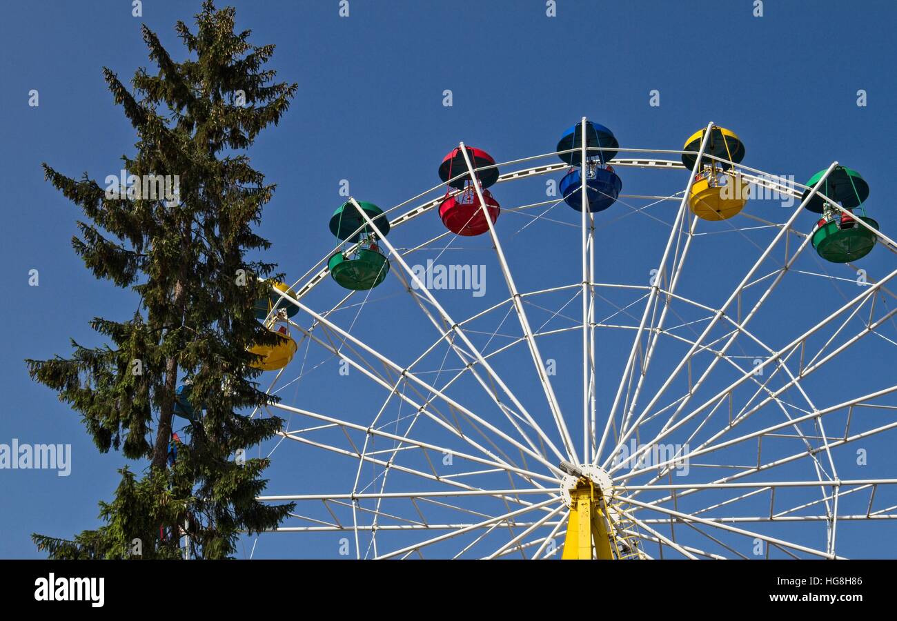 Ferris wheel and a tree in the amusement park Stock Photo